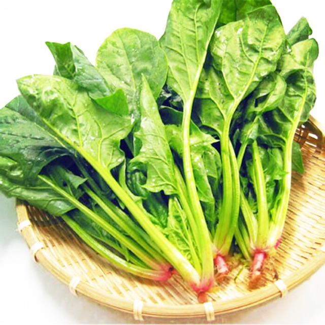 [HCM]Hạt Giống Cải Bó Xôi/Cải Bina/Cải Chân Vịt