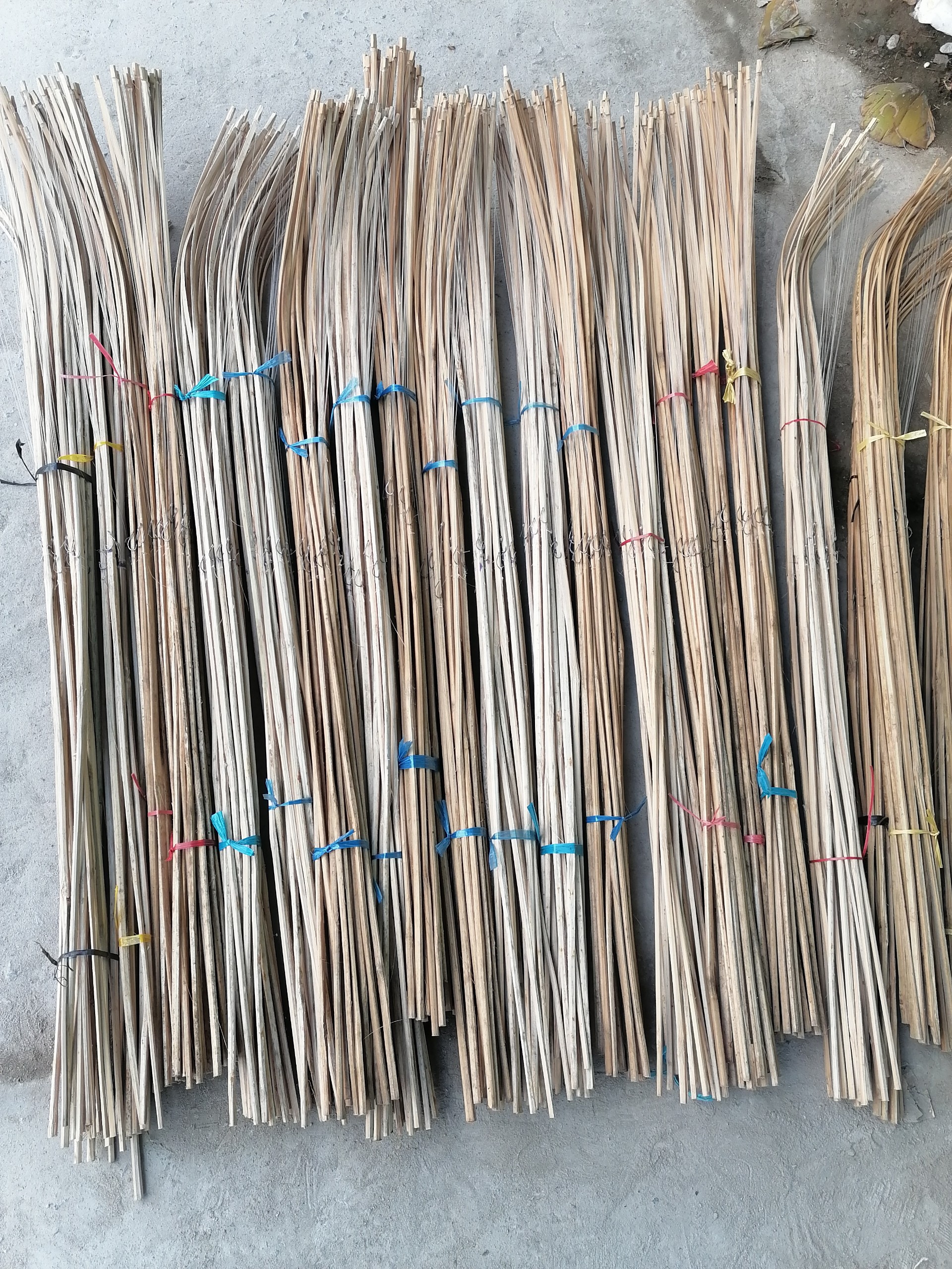 Cần câu cắm cá lóc, trê v.v ( Combo 10 , 20 , 50 Cây )
