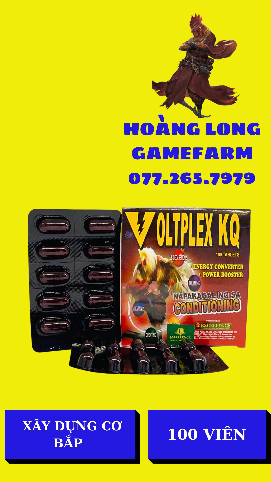 VOLTPEX KQ .Volplex KQ hộp 100 viên