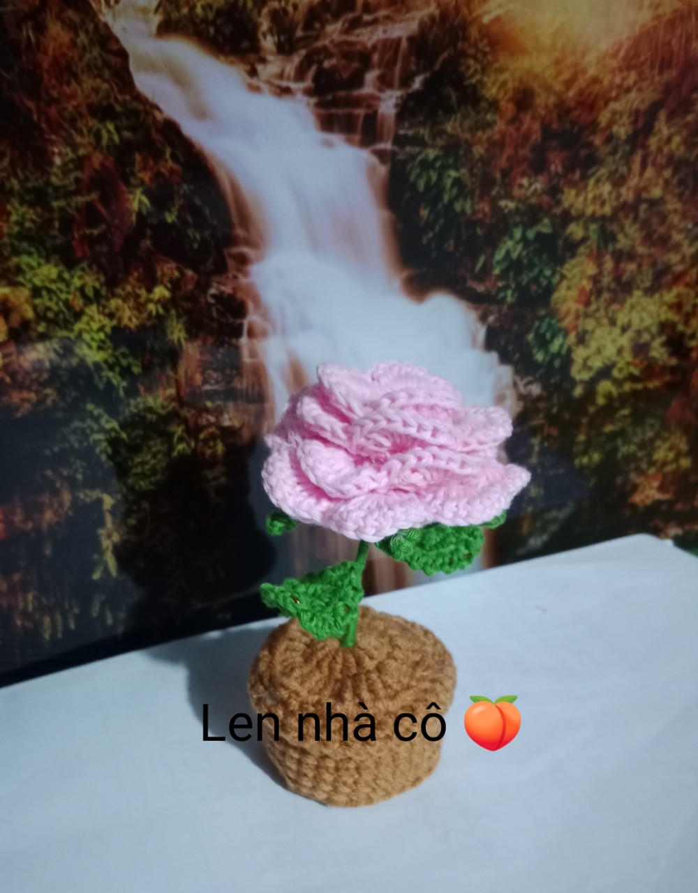 Hoa Hồng Len Handmade