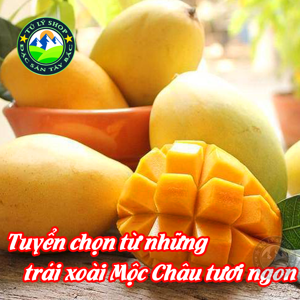 Xoài Sấy Dẻo Mộc Châu 200g (Xoài Sạch VietGap - Đặc Sản Mộc Châu)