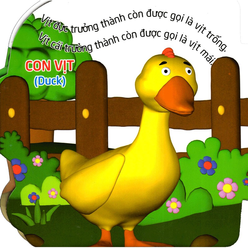 Sách: Thế Giới Trong Mắt Em - Chim