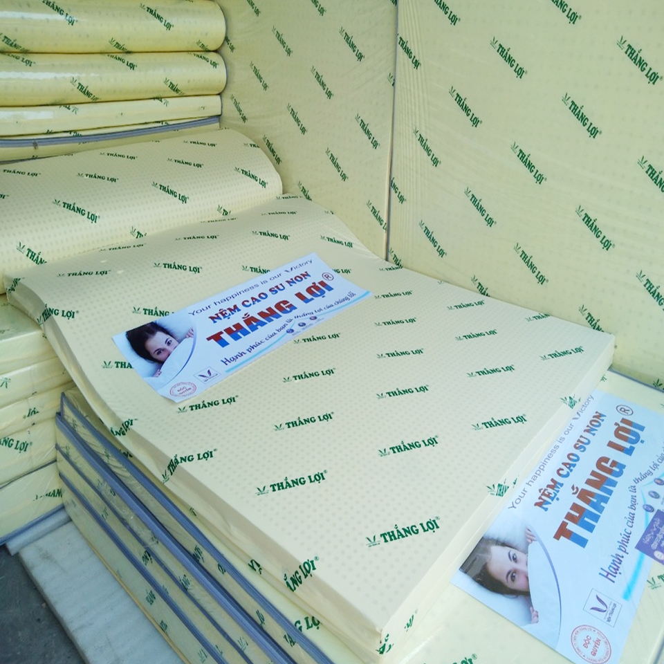 (FREE SHIP HCM ) Nệm Cao Su Non Thắng Lợi - Nệm Gấp 3 Thoáng Mát Độ Bền Cao