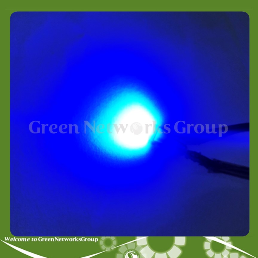 Đèn led BÁO SỐ chân T 6.5 WAVE -1 Bóng Greennetworks