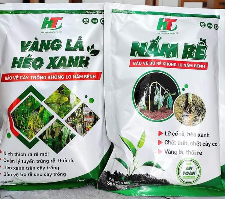 NẤM RỄ – XỬ LÝ NẤM BỆNH TRONG ĐẤT