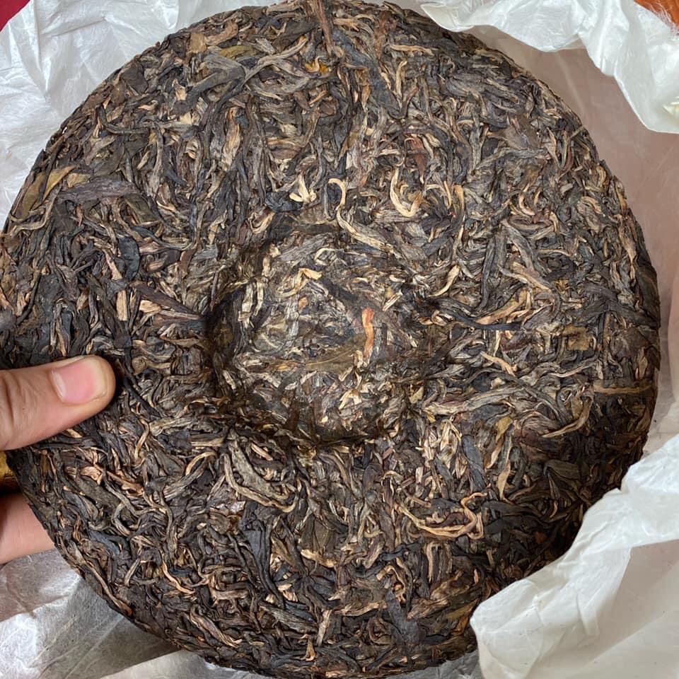 Bánh phổ nhĩ sống 2016 - thái an trà