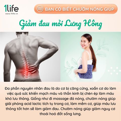 [FOLLOW1LIFE] Gối Thảo Mộc 1LIFE Chườm Lưng Bụng