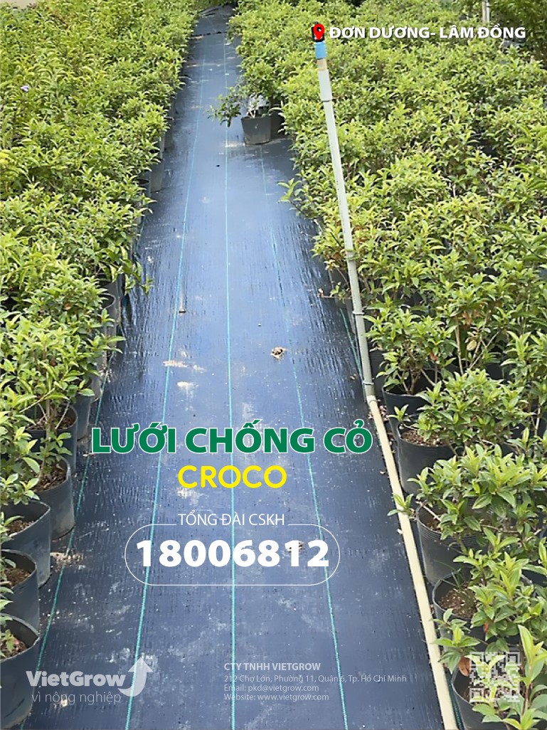 LƯỚI CHỐNG CỎ / BẠT CHỐNG CỎ /BẠT DIỆT CỎ THƯƠNG HIỆU CROCO