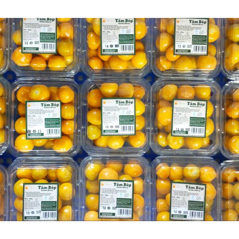 [HCM]TẦM BÓP NAM MỸ TƯƠI BÓC VỎ (HỘP 300G)