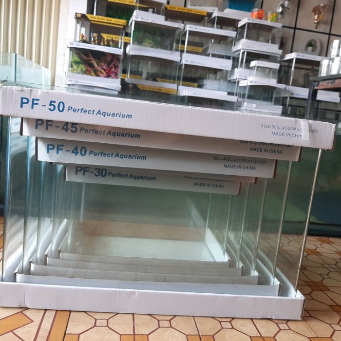 Hồ đúc 50cm được uốn cong mặt trước các cạnh được mài vi tính giá siêu rẻ. tặng kèm cám khi mua hồ