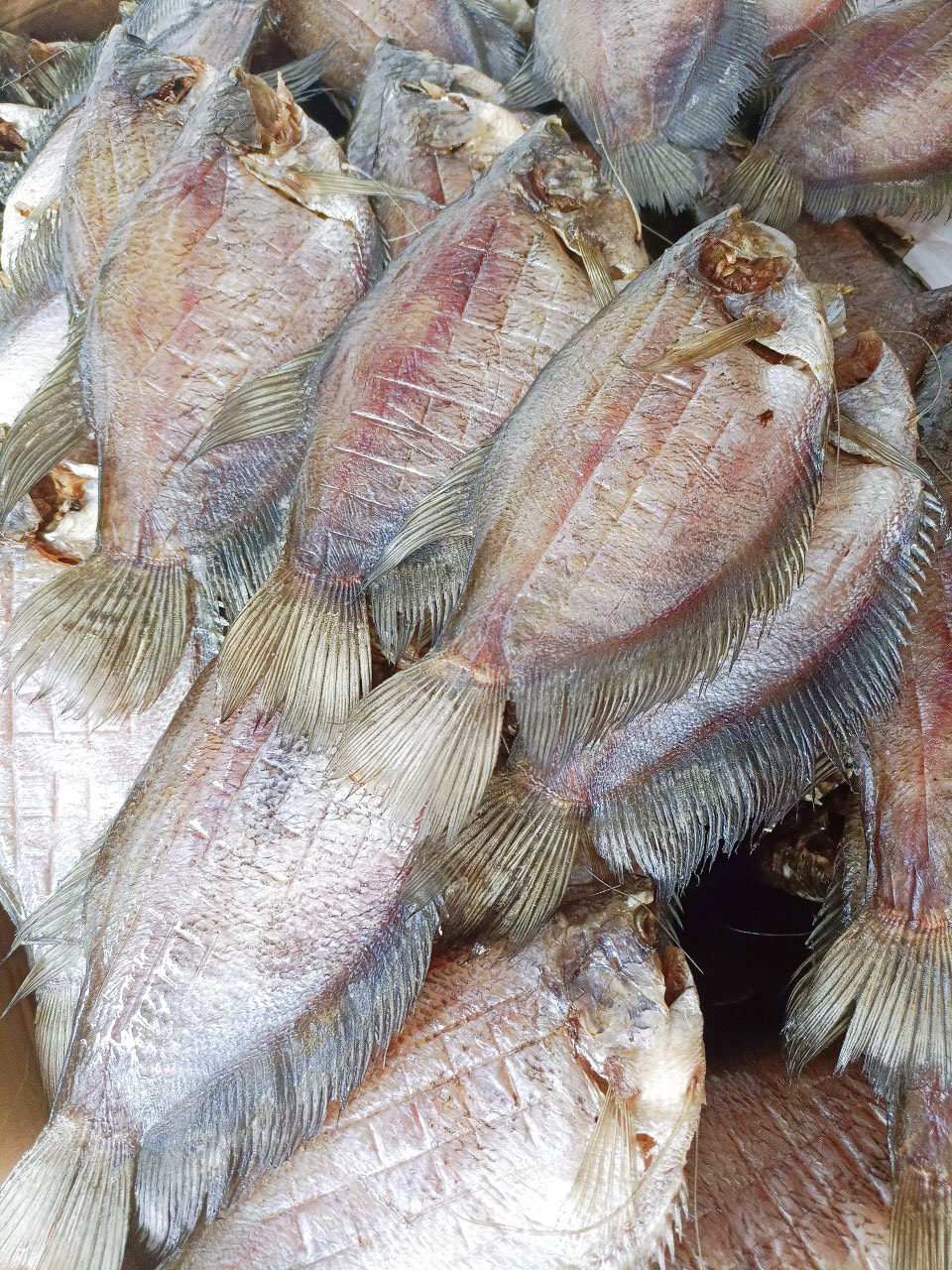 Khô Cá Sặc Bổi Lạt 3 Nắng Size Mập 8 con/Kg