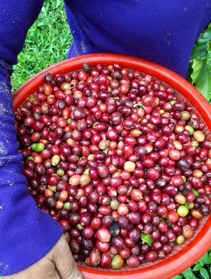 1 ký cà phê rang say nguyên chất Nhà làm