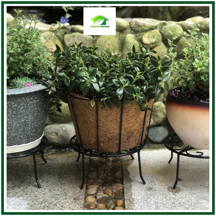 [GREEN HOUSE] Chân đế lùn sắt tĩnh điện kê chậu hoa, cây cảnh