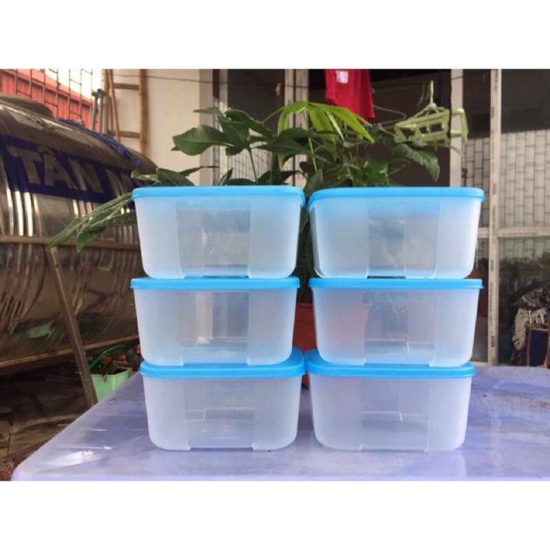 Hộp trữ đông Freezermate 650ml Tupperware ( bán lẻ )