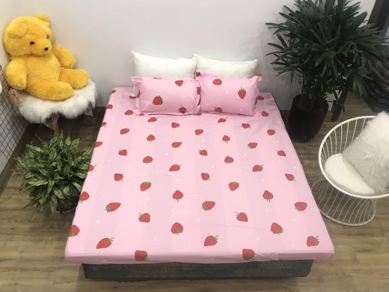 Set ga gối 3 món sgg p9