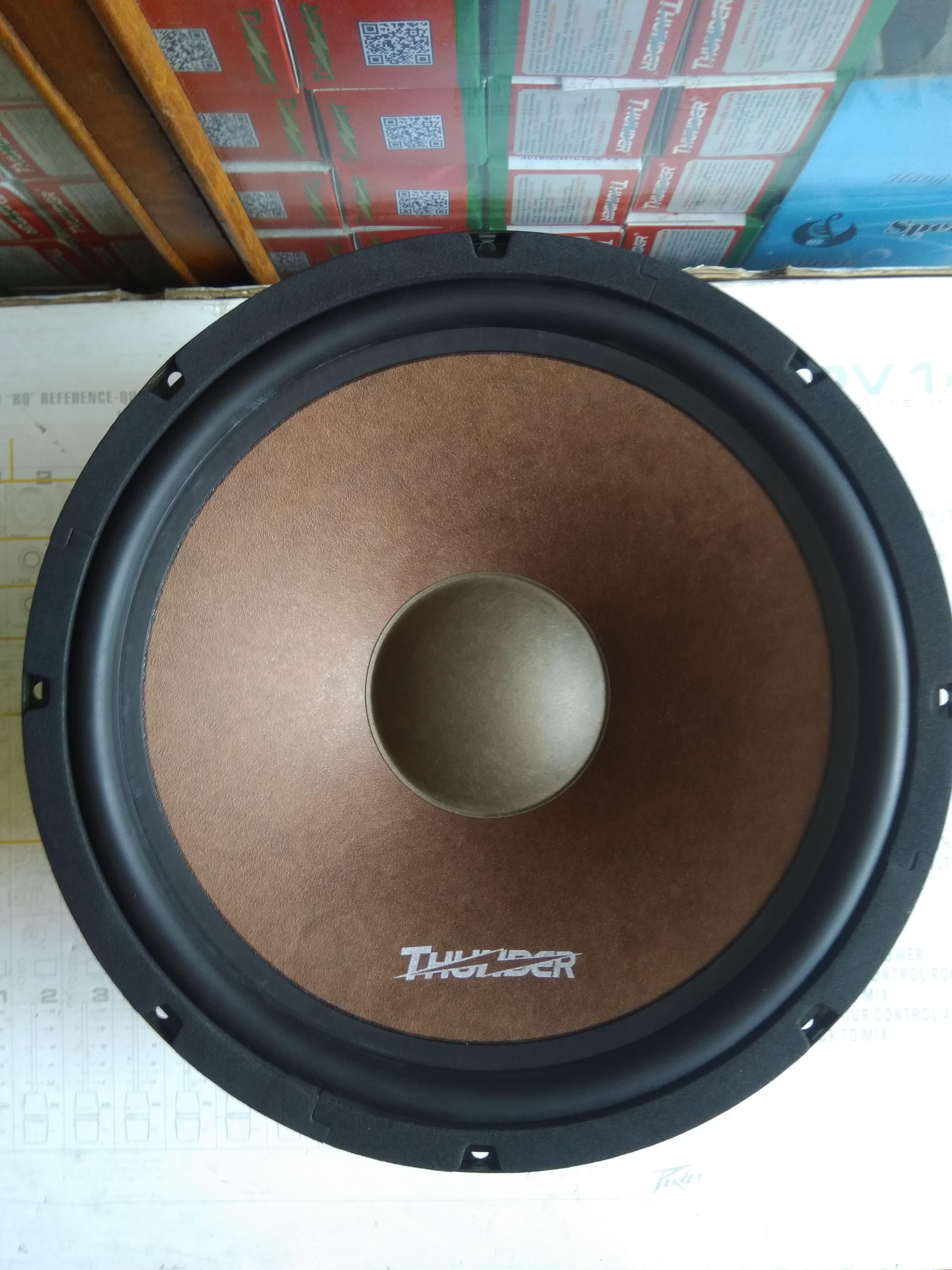 Cặp loa bass 30cm liên doanh cao cấp Thunder (2 loa)