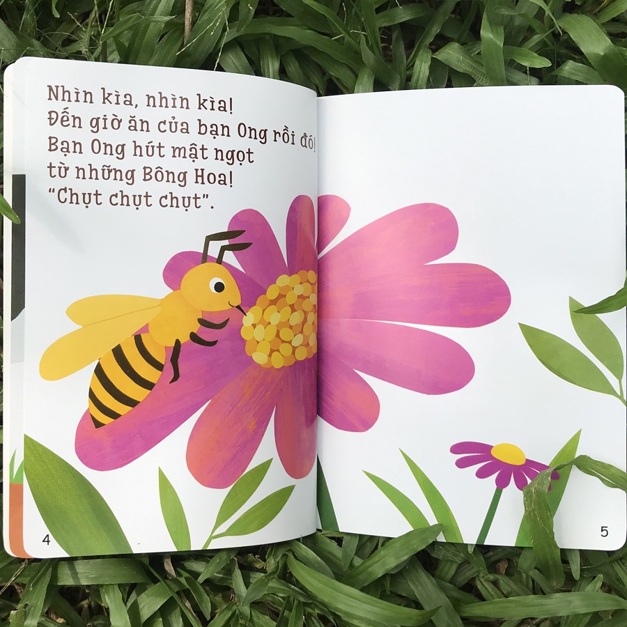 Sách - Ehon Accototo (0-6 Tuổi) (Bộ 3 Quyển)