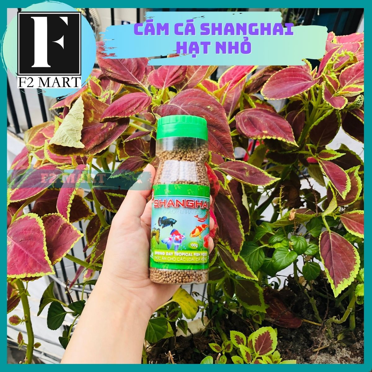 Thức Ăn Cá Cảnh ShangHai | Cám Cá ShangHai Lọ 50g
