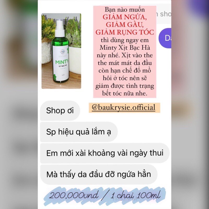 MINTY Hair Mist - Xịt Dưỡng Da Đầu Bạc Hà (Baukrysie)