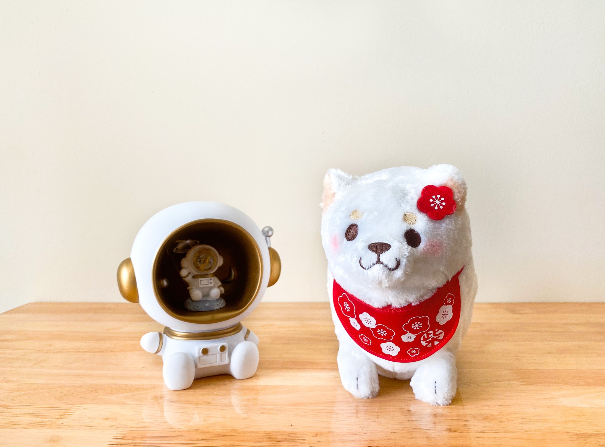 Combo gấu bông Mochi Shiba Sakura