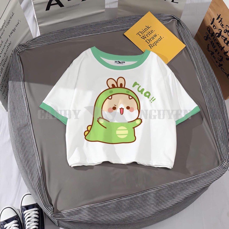 Áo thun croptop viền xanh khủng long tai thỏ rua kT