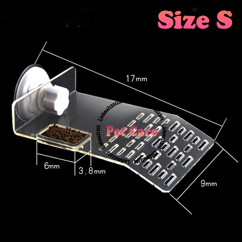 Bệ phơi nắng cho rùa trong suốt size