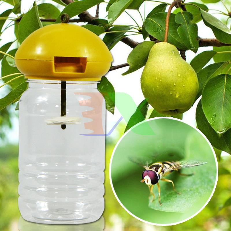 Combo 4 solution vial lure br-th, conductor example bee fly, vinegar, insect đục left