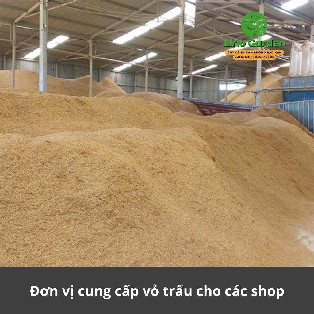 vỏ trấu khô