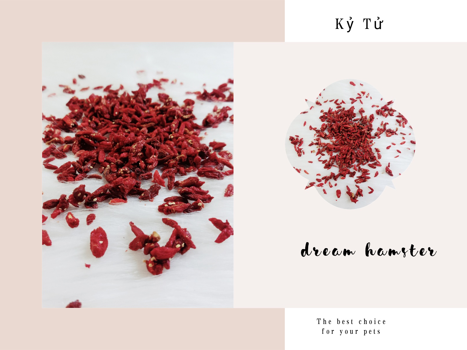 K.y t.u cho Hamster (40gr)