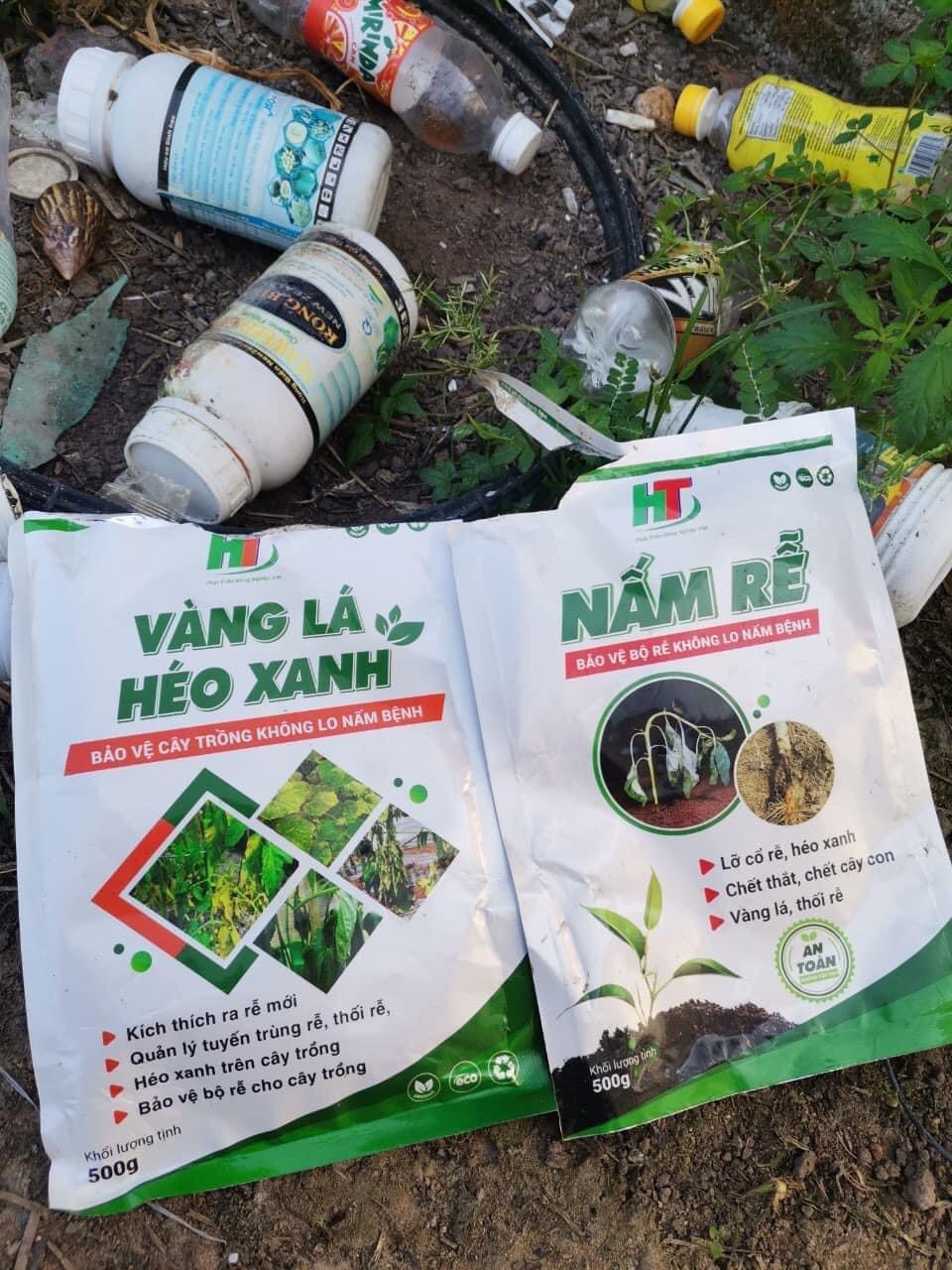 NẤM RỄ – XỬ LÝ NẤM BỆNH TRONG ĐẤT