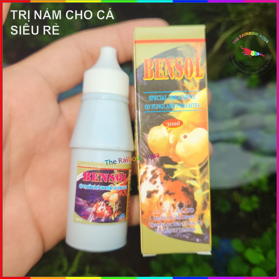 Bensol trị nấm và ký sinh trùng cho cá cảnh (chai 30ml)