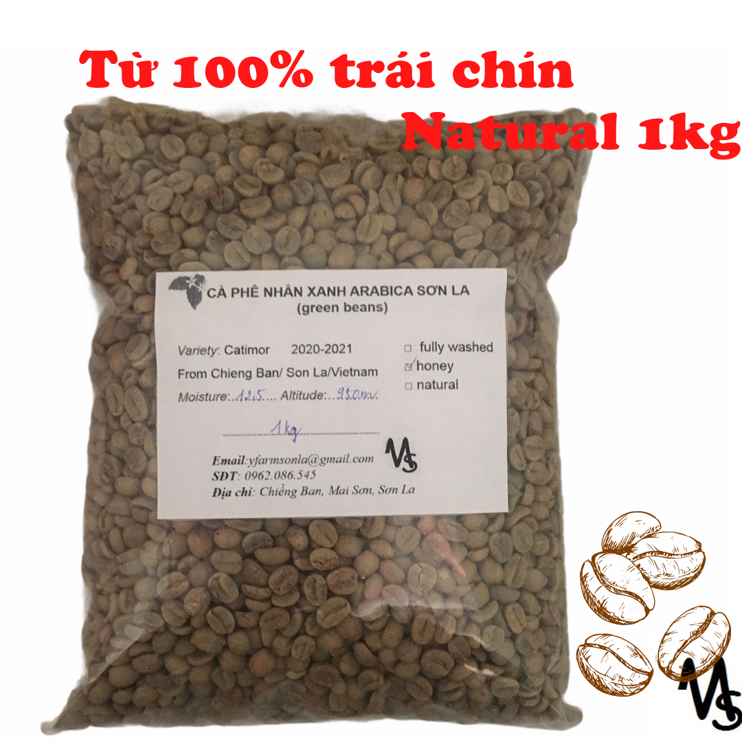 Cà phê nhân xanh hạt chưa rang arabica Sơn La 1kg natural