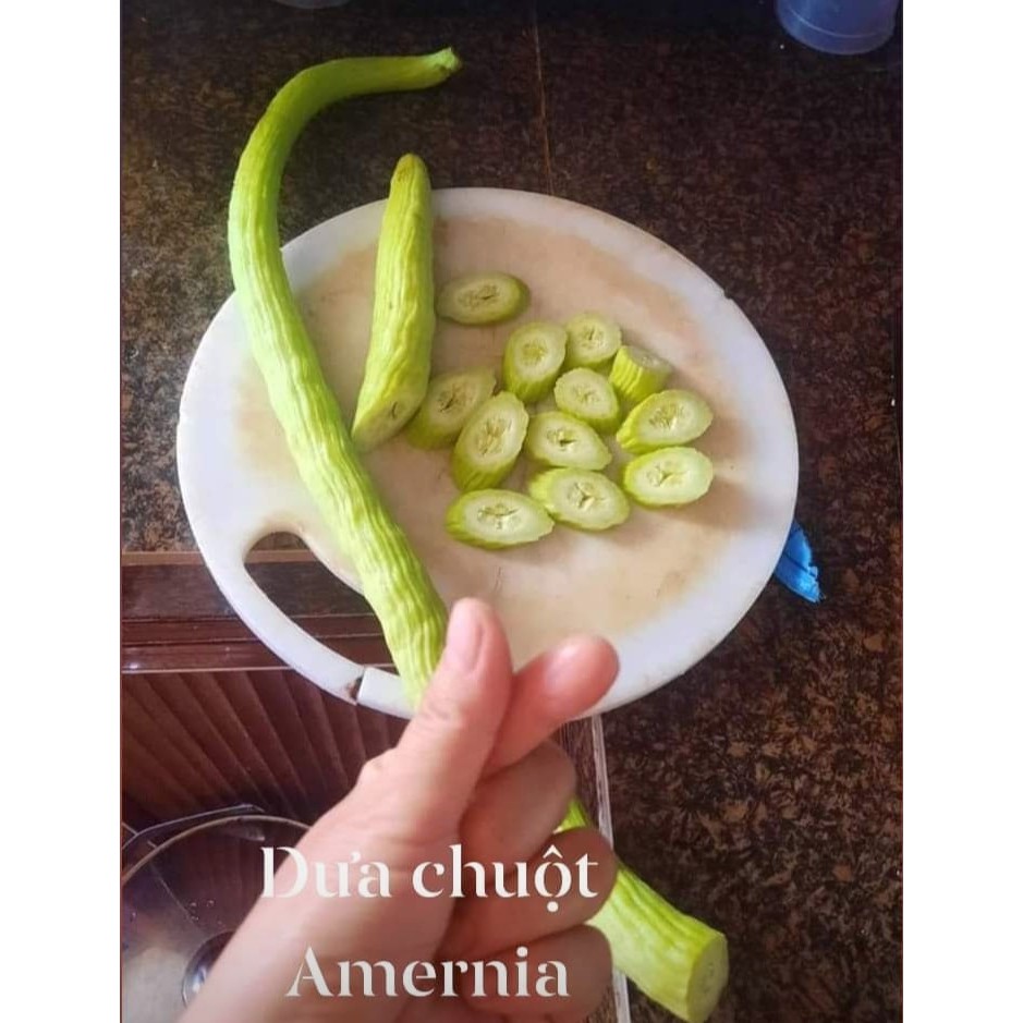 Hạt Giống Dưa Chuột Rắn Armenian Siêu Dài