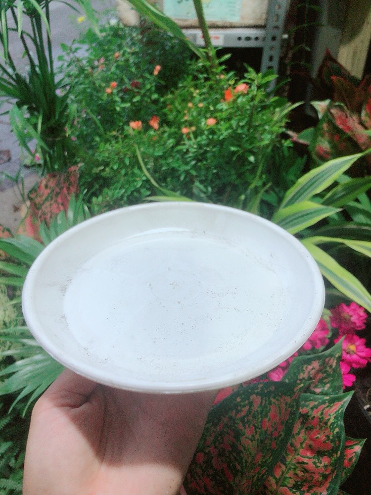 Đĩa Lót Chậu (đường kính 17cm)