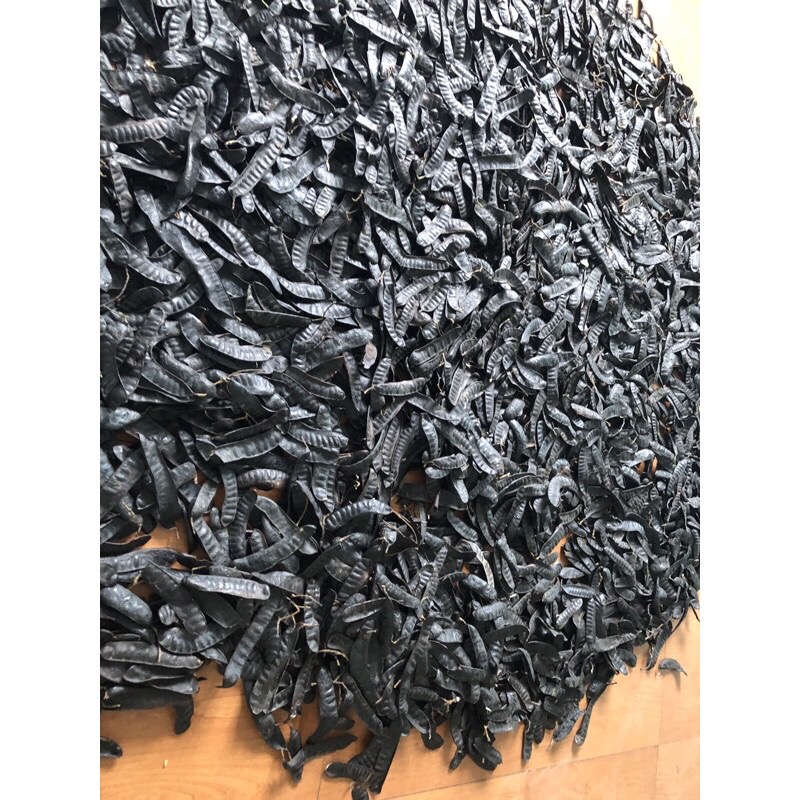1kg Quả Bồ Kết Khô - quả To Mẩy