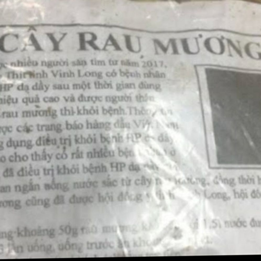 Cây rau mương khô (1kg)