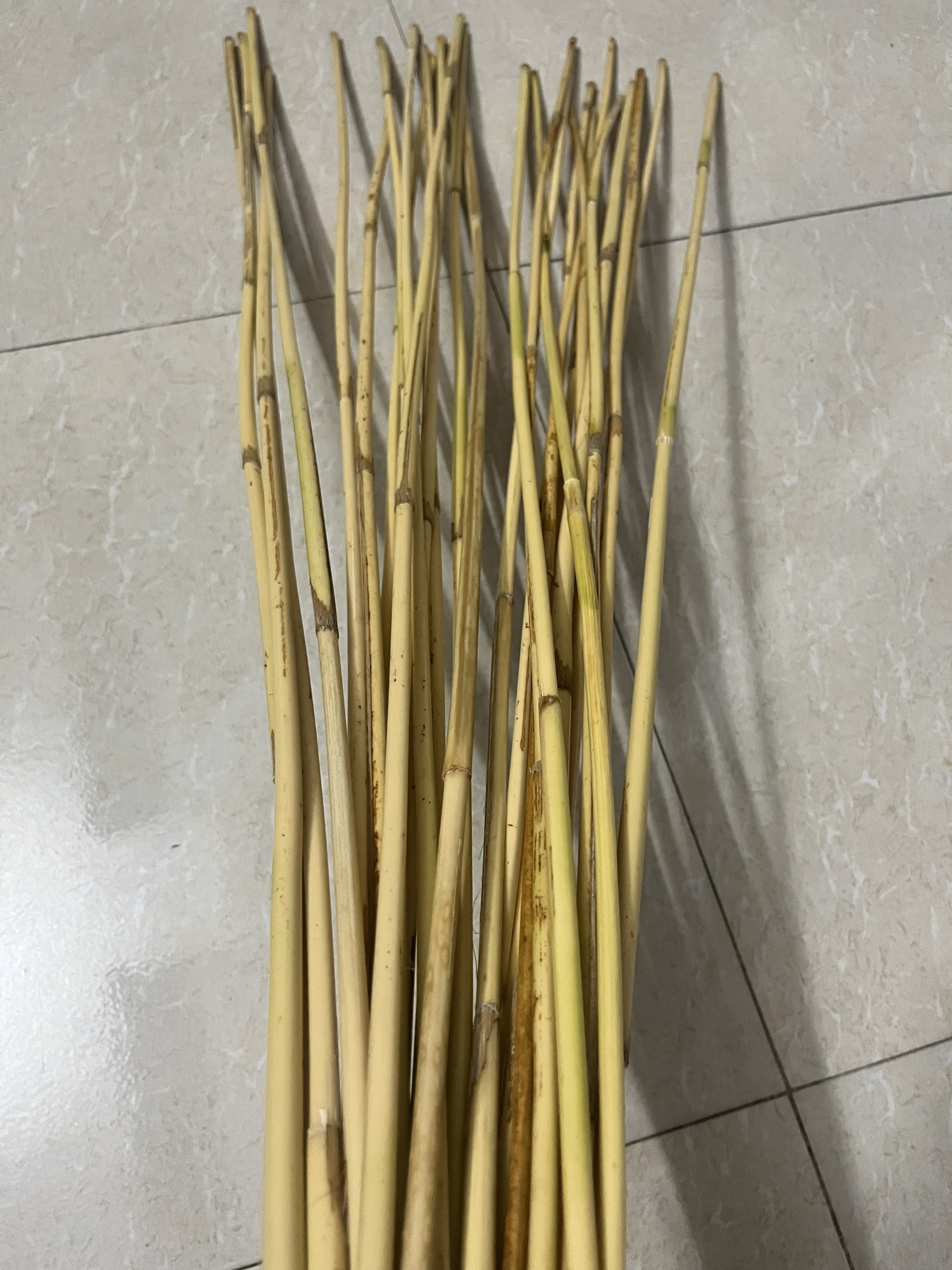 Cây Mây Dẻo Dai - Sử Dụng Để Trang Trí