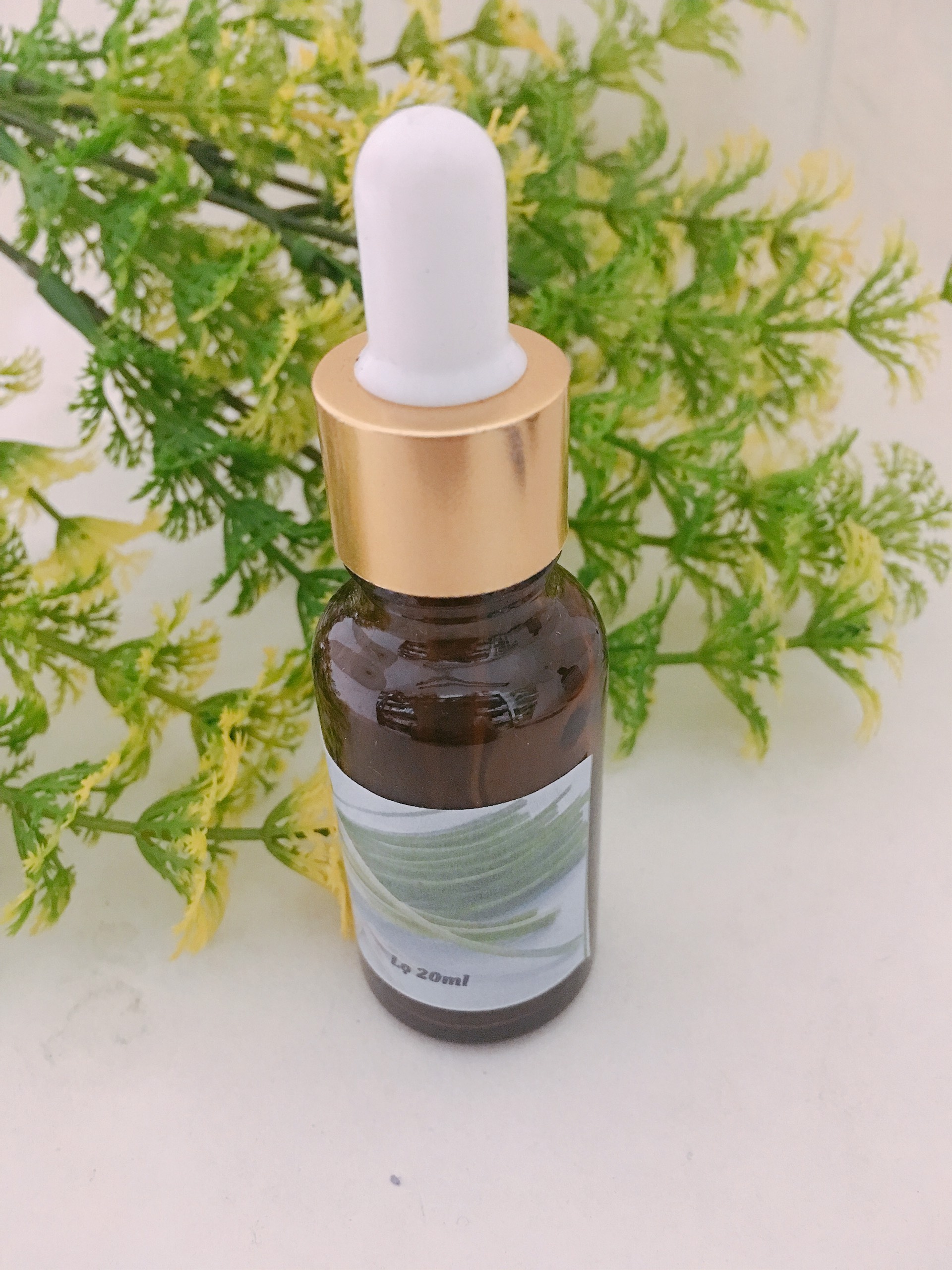 Tinh dầu xông phòng hương Sả Java nguyên chất lọ 10ml