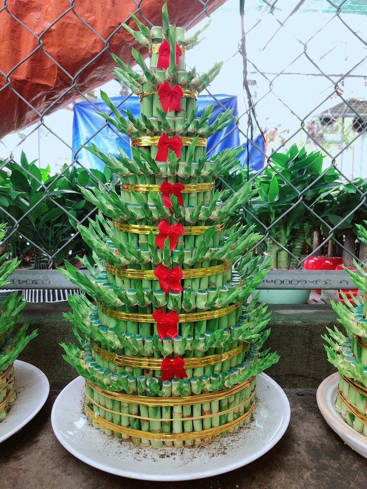 Trúc Phát Tài 9 Tầng