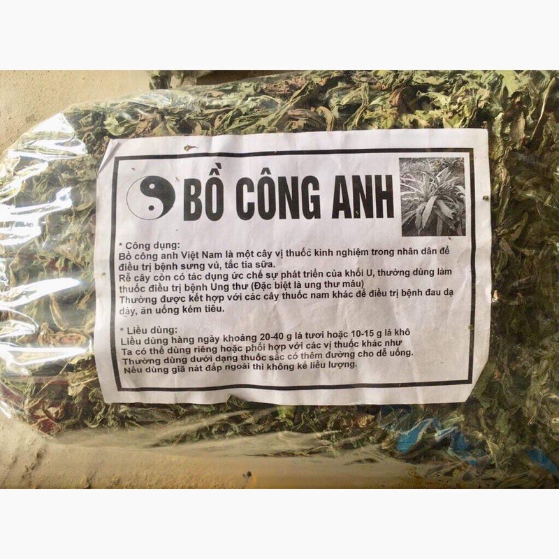 Bồ công anh khô loại 1 thượng hạng