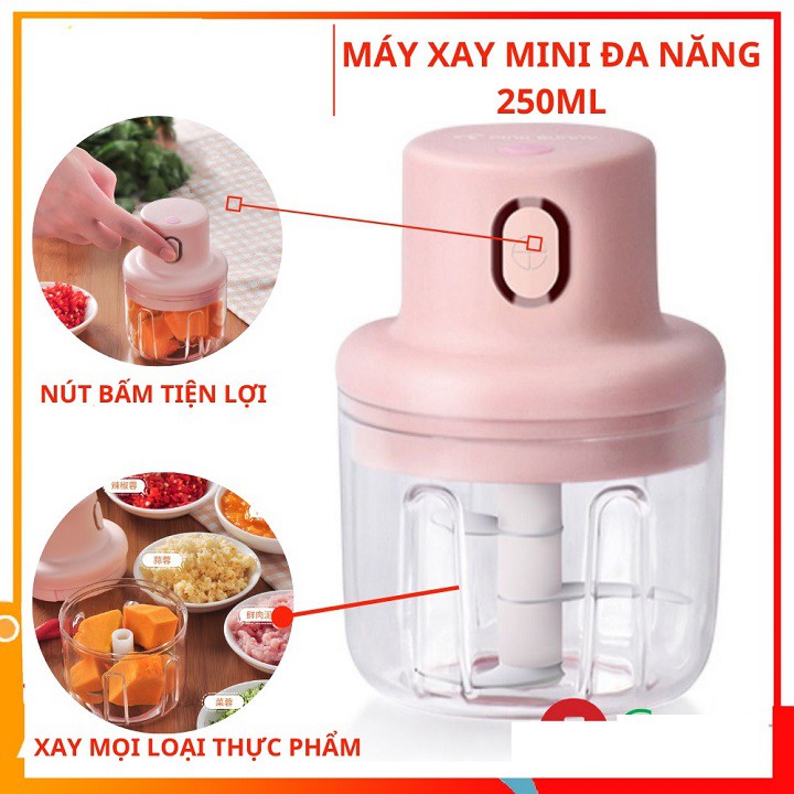 Máy xay mini 250ml