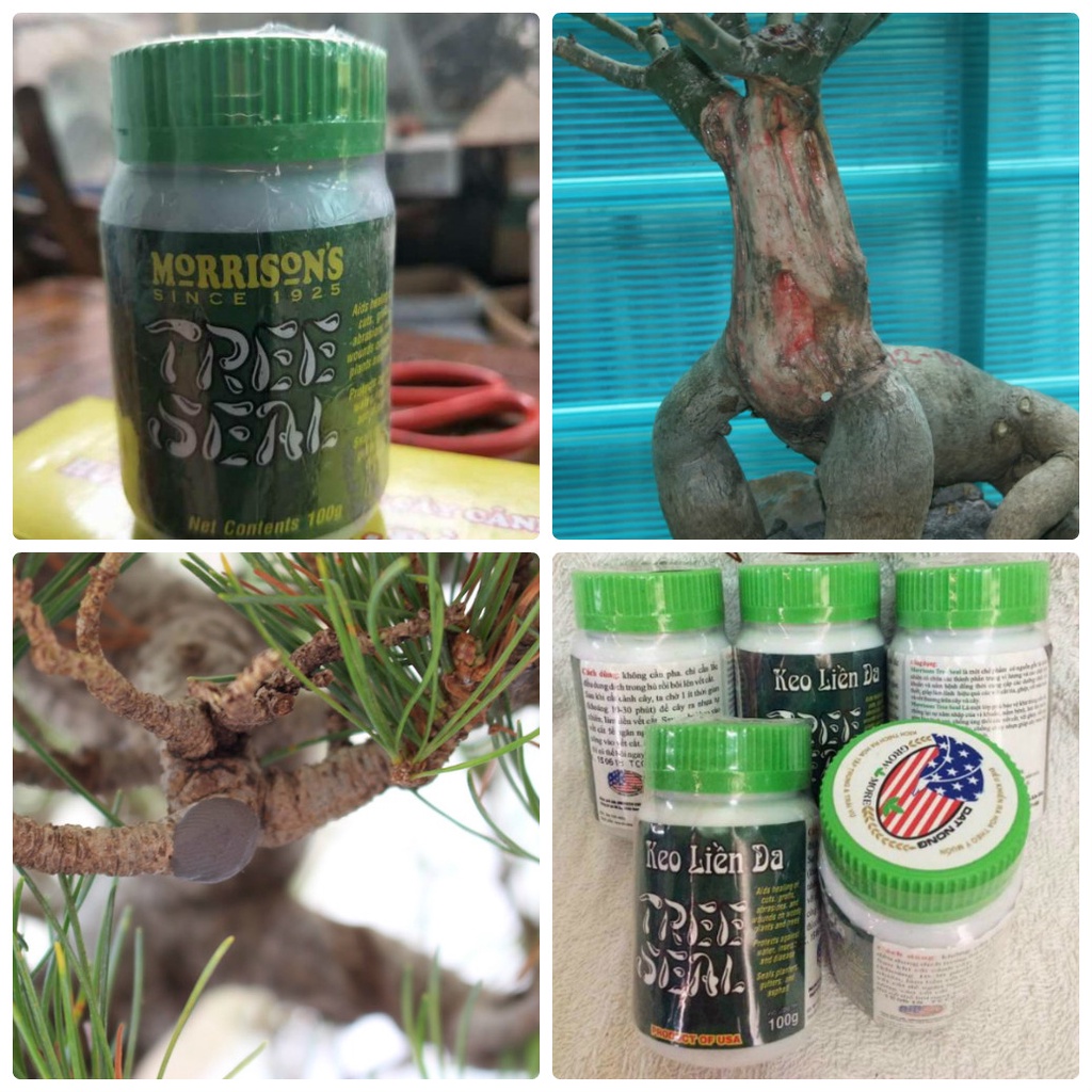 Keo Liền Da TREE SEAL 100g, Sản phẩm nhập Mỹ