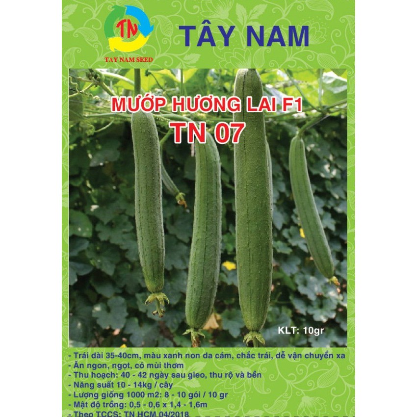Hạt giống mướp hương nhật Tây Nam TN07