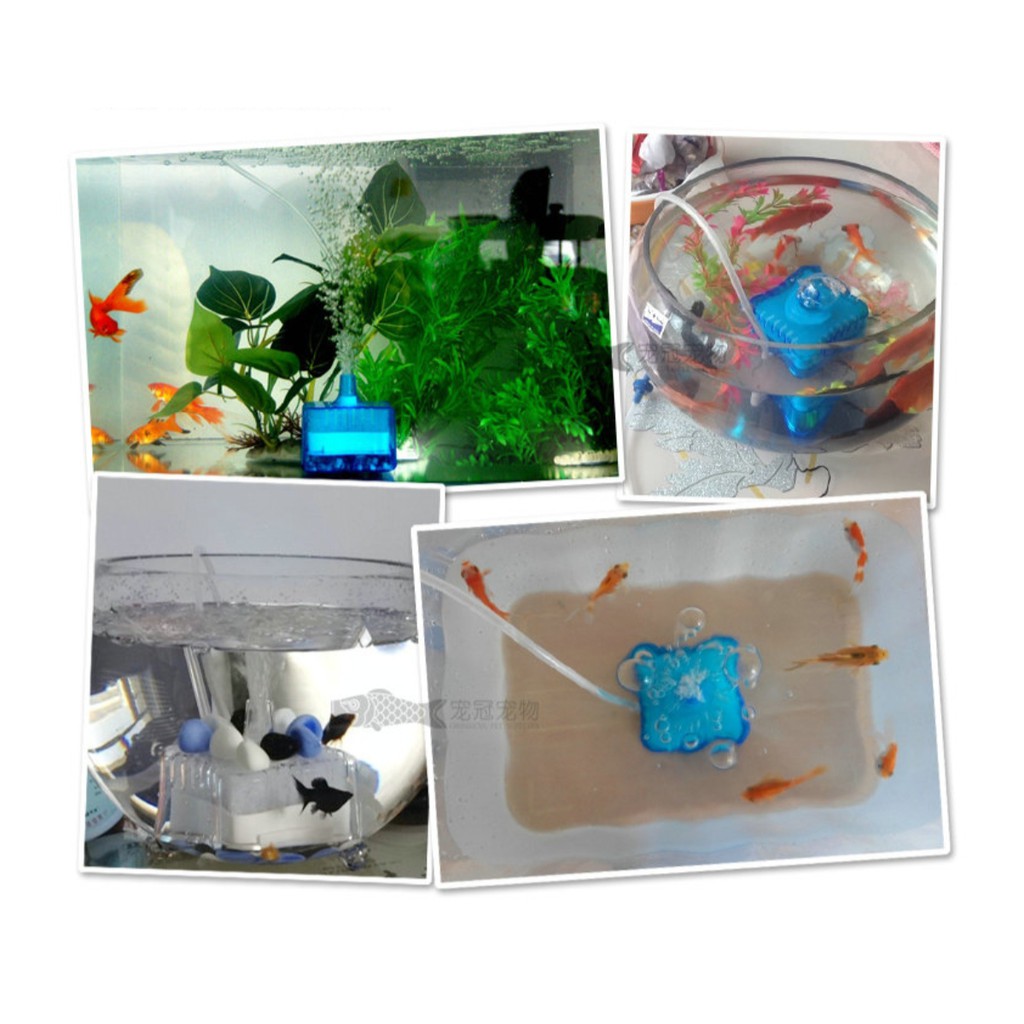 lọc vi sinh vuông , lọc bể cá