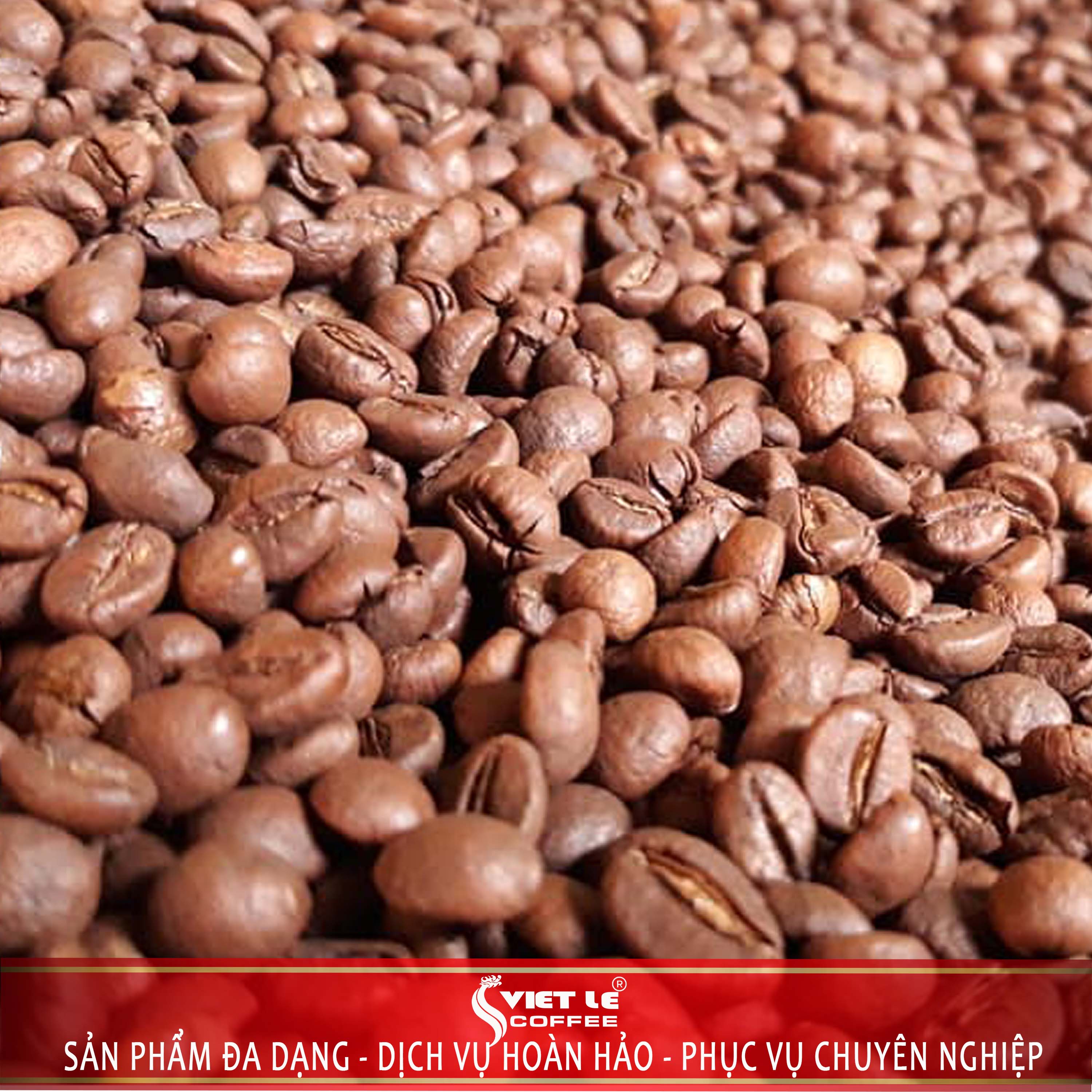 1kg Cà phê Robusta hạt rang mộc VIET LE COFFEE