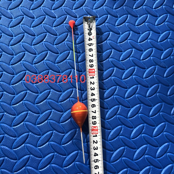 Phao Câu Cá Câu Đơn Câu Lục