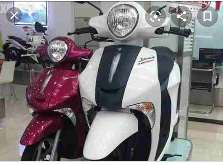 PHA ĐÈN JANUS CÓ ĐUI BÓNG ĐỜI 2018 ZIN