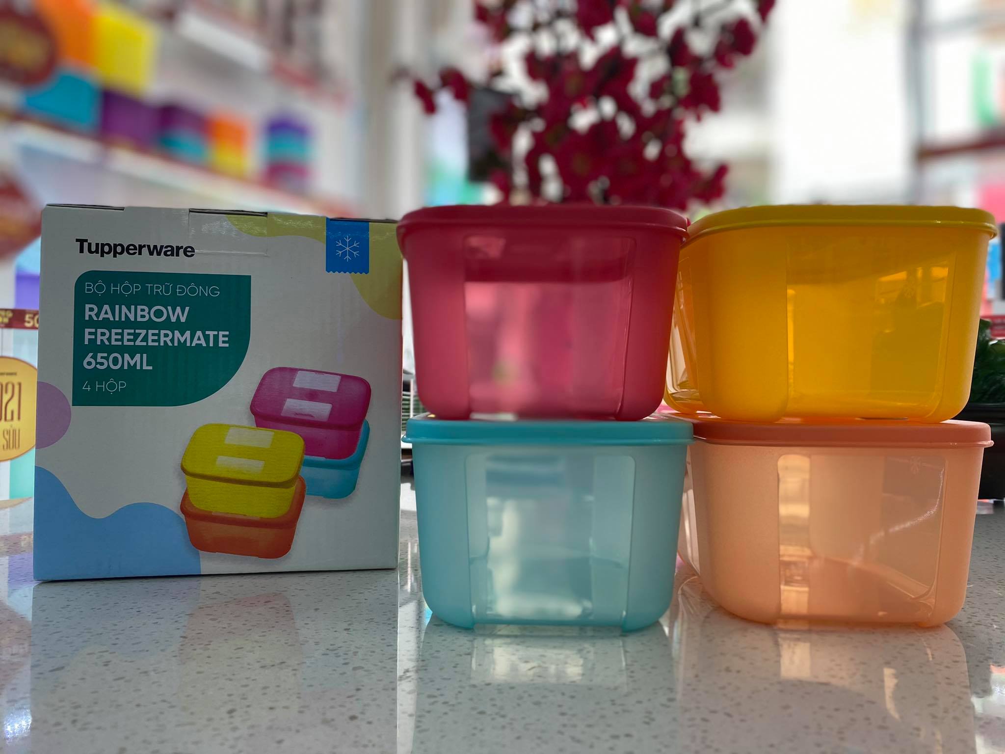 Bộ hộp trữ đông Tupperware Freezermate Rainbow 650ml (set 4)