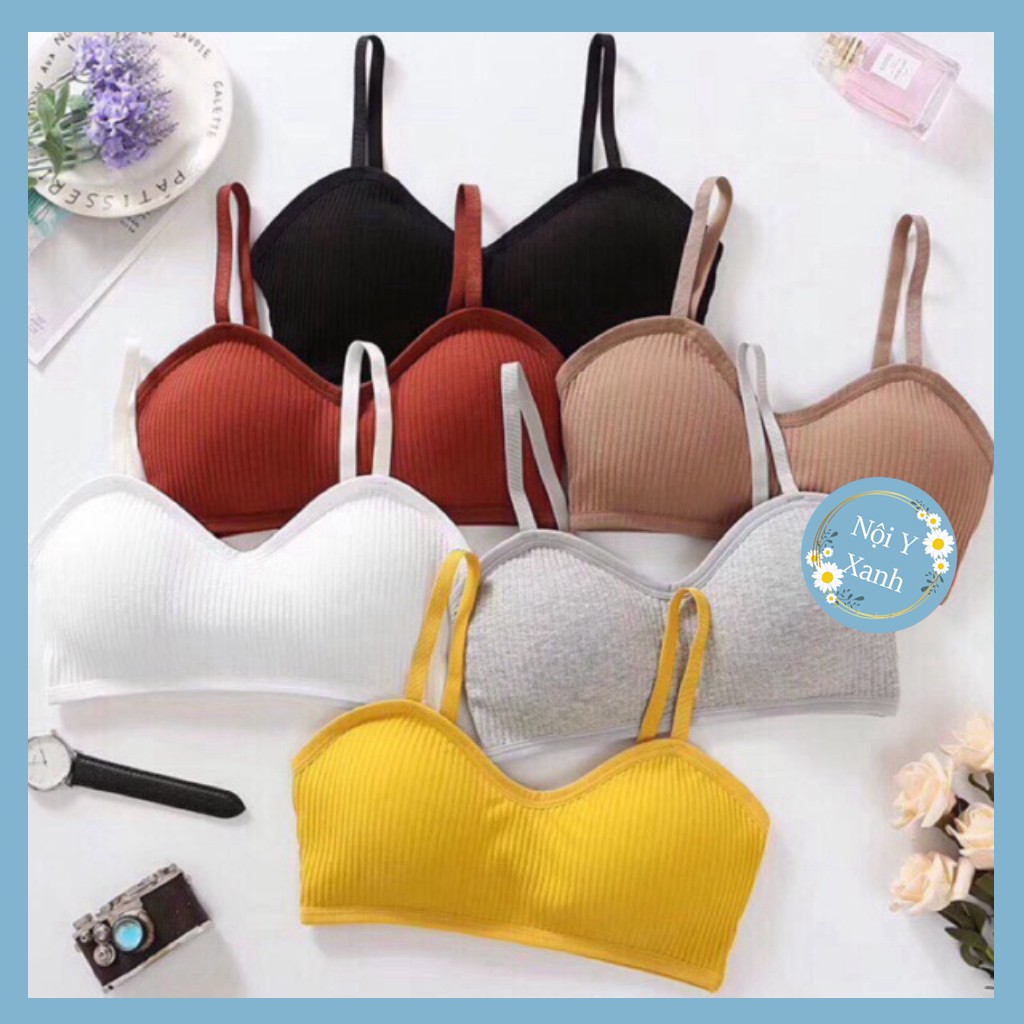 Áo bra gân cúp tròn ngực mẫu mới 8836 giá tốt