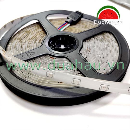 Đèn Led dây - Led cuộn 3528